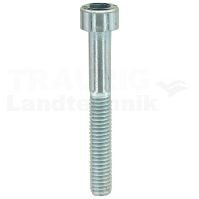 Zylinderschraube M6x45 DIN 912