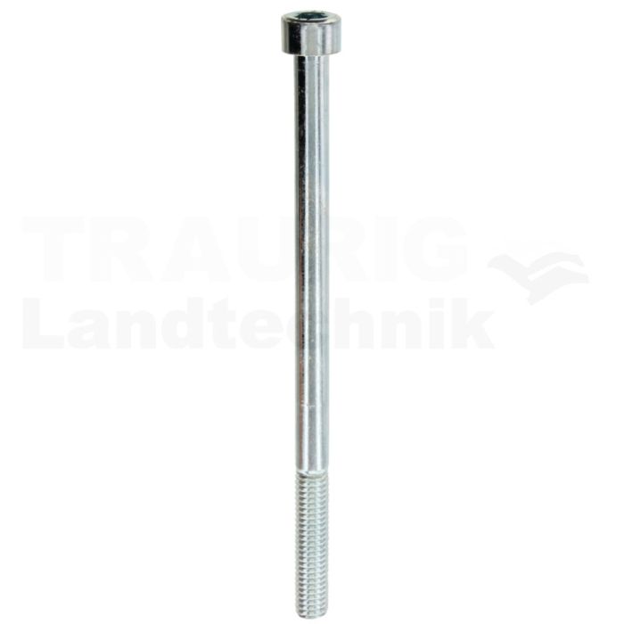 Zylinderschraube M6x100 DIN 912