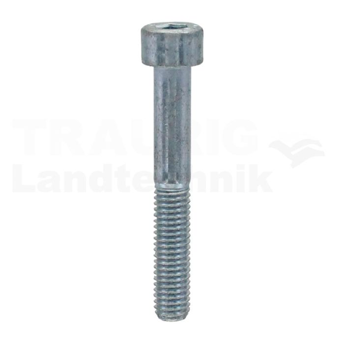 Zylinderschraube M8x55 DIN 912