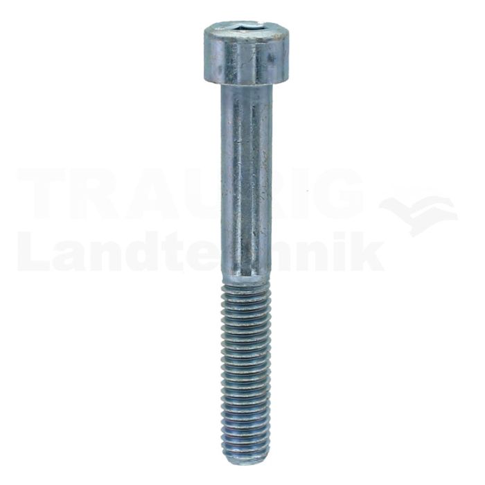 Zylinderschraube M8x60 DIN 912