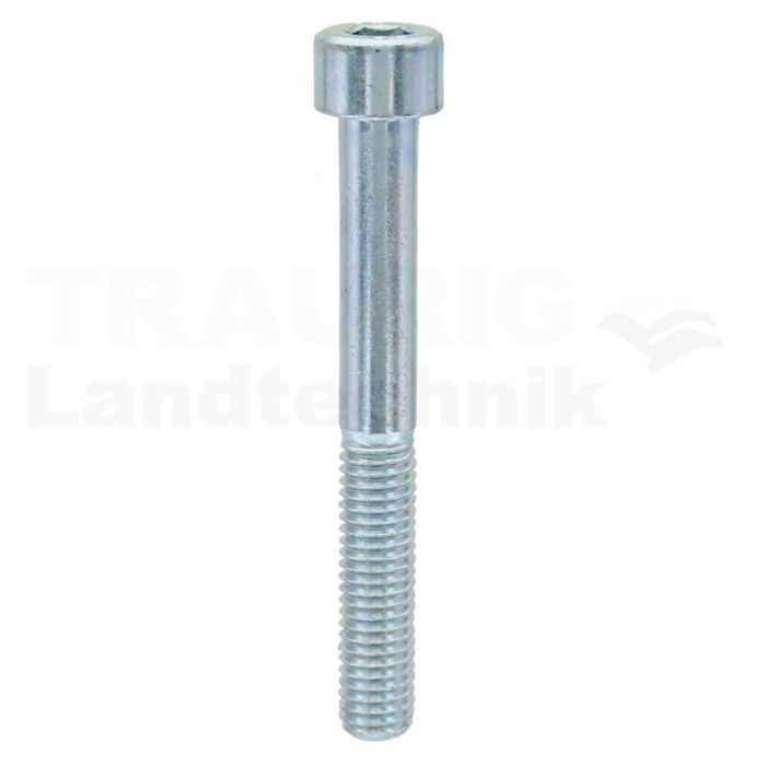 Zylinderschraube M8x65 DIN 912
