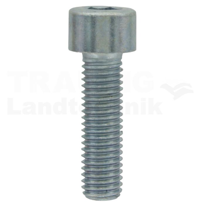 Zylinderschraube M10x35 DIN 912