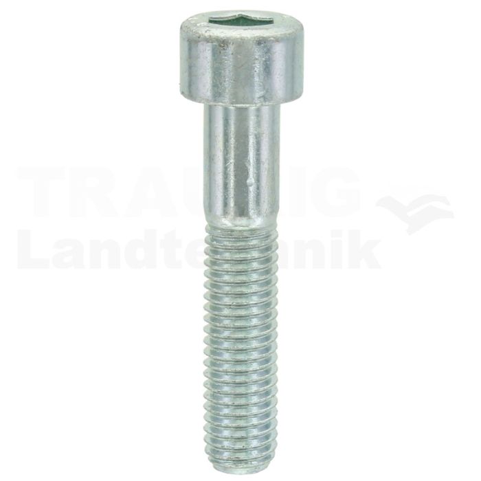 Zylinderschraube M10x50 DIN 912