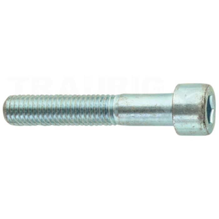 Zylinderschraube M10x55 DIN 912