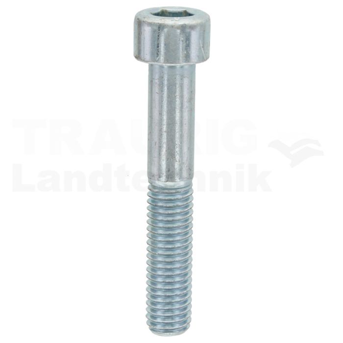 Zylinderschraube M10x60 DIN 912