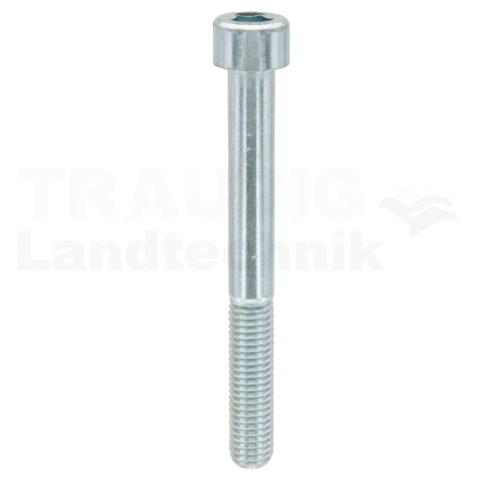 Zylinderschraube M10x90 DIN 912
