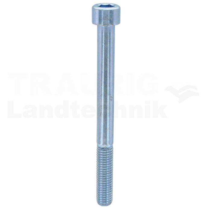 Zylinderschraube M10x110 DIN 912