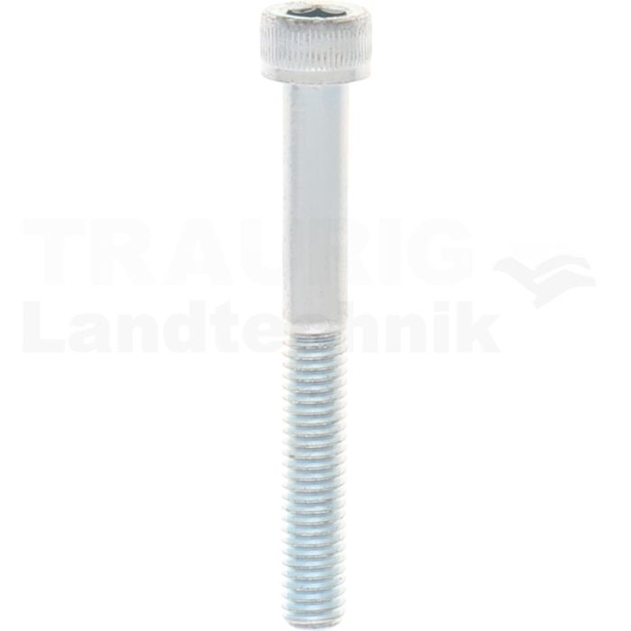 Zylinderschraube M6x50 DIN 912