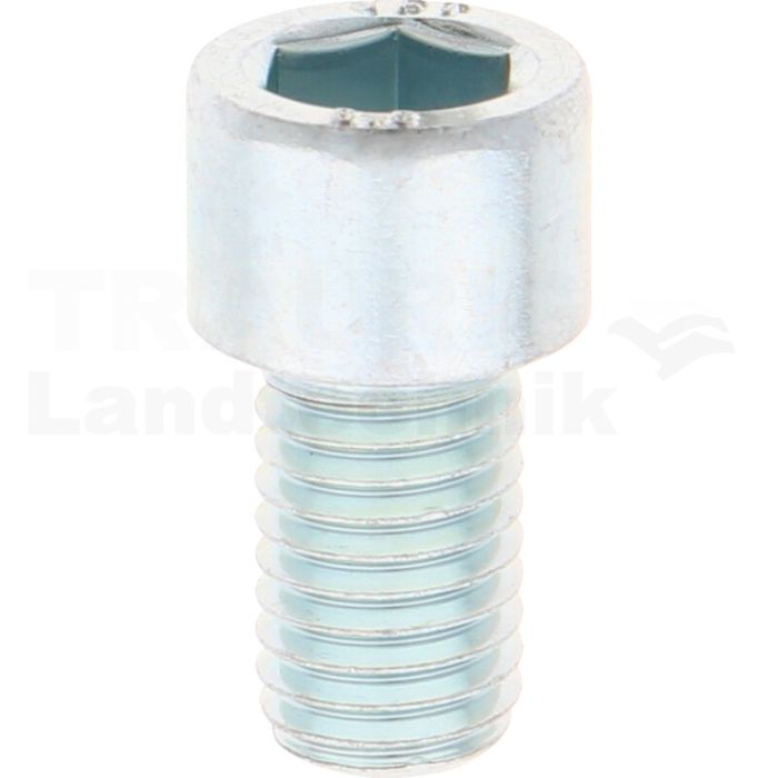 Zylinderschraube M12x20 DIN 912