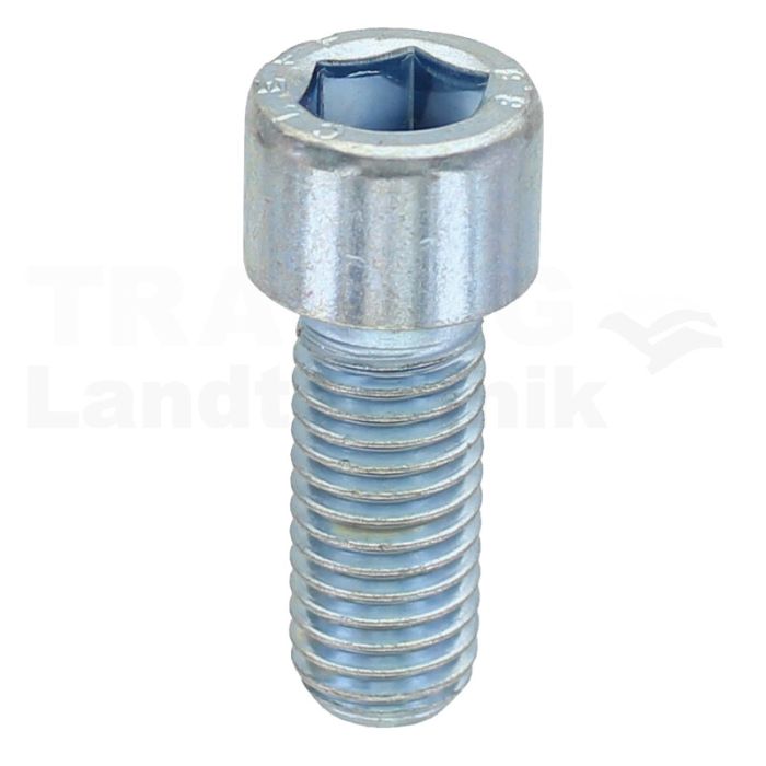 Zylinderschraube M12x30 DIN 912