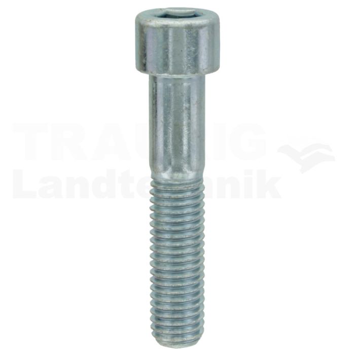 Zylinderschraube M12x60 DIN 912