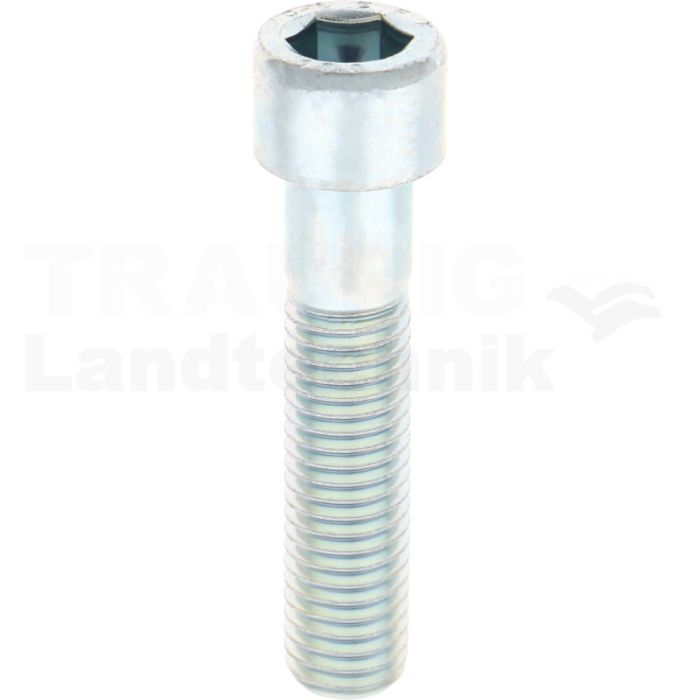 Zylinderschraube M12x55 DIN 912