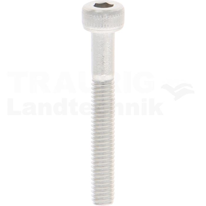 Zylinderschraube M20x35 DIN 912