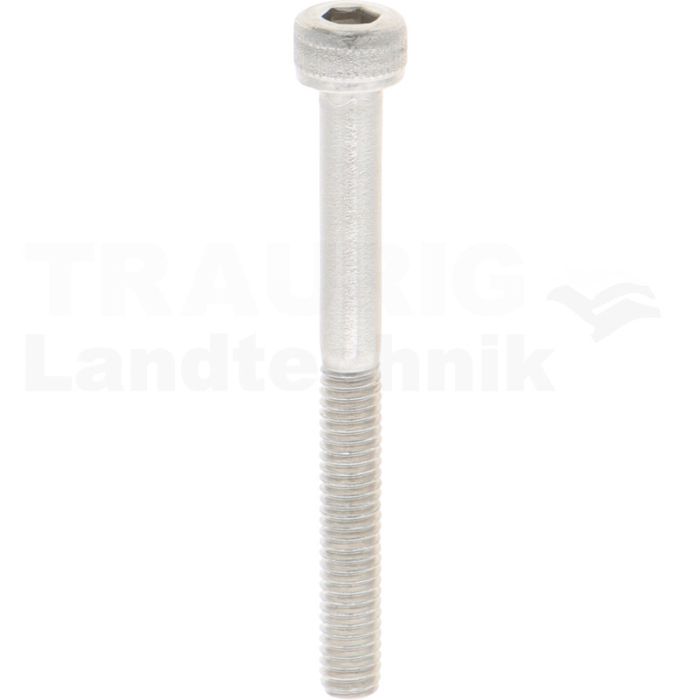 Zylinderschraube M20x55 DIN 912