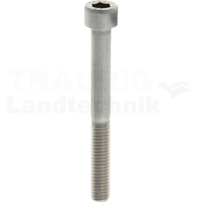 Zylinderschraube VA M6x55 DIN 912 Zylinderschraube VA M6x55 DIN 912