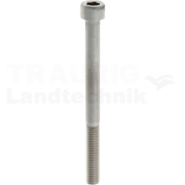 Zylinderschraube M20x80 DIN 912