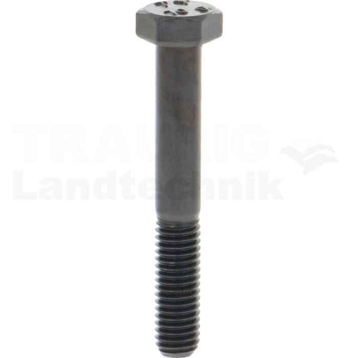 Sechskantschraube M8x55 DIN 931