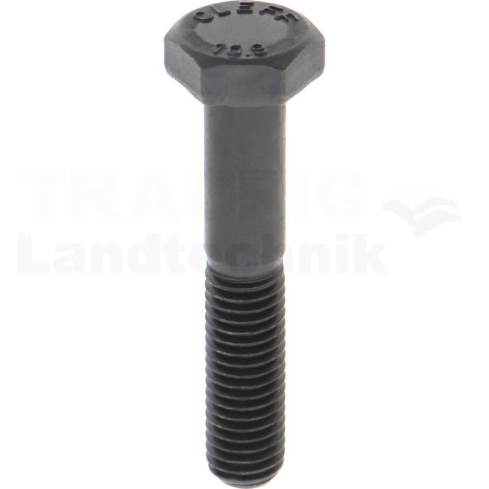 Sechskantschraube M10x55 DIN 931