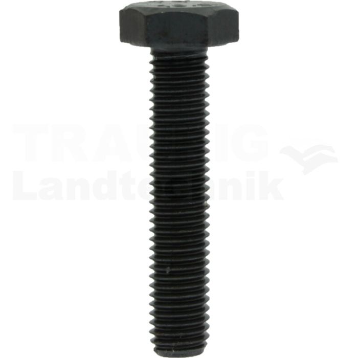 Sechskantschraube M10x50 DIN 933