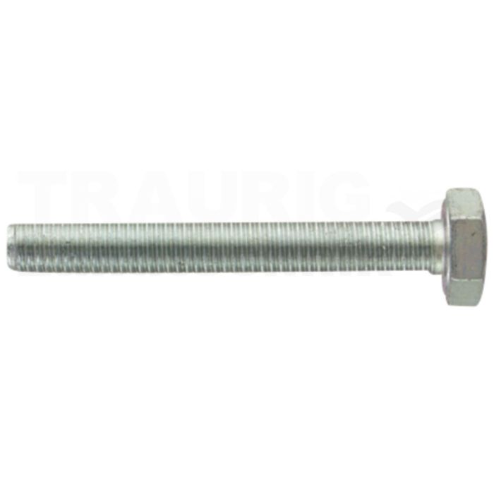 Sechskantschraube M10x70 DIN 933