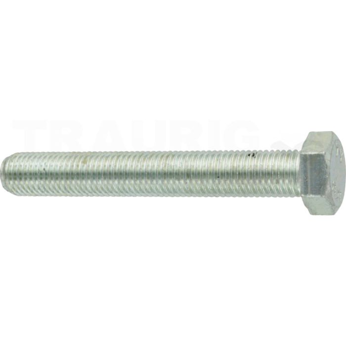 Sechskantschraube M16x110 DIN 933 Sechskantschraube M16x110 DIN 933