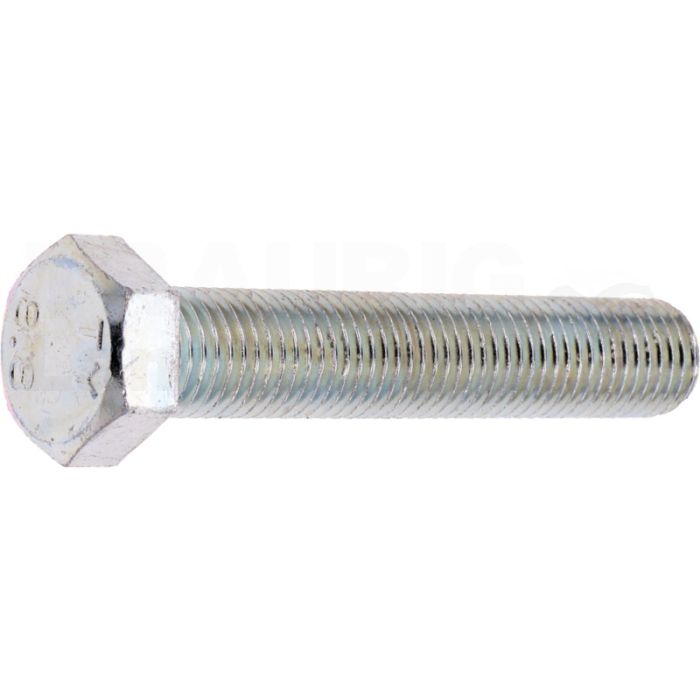 Sechskantschraube M20x110 DIN 933 Sechskantschraube M20x110 DIN 933