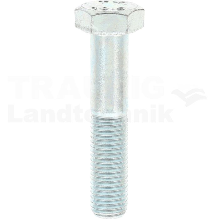 Sechskantschraube M12x60 DIN 960