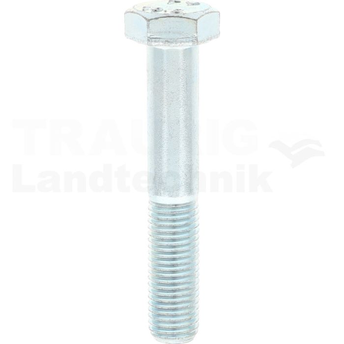 Sechskantschraube M12x70 DIN 960