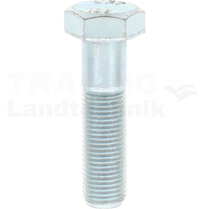 Sechskantschraube M14x55 DIN 960