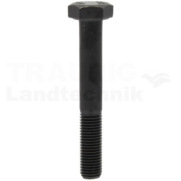 Sechskantschraube M10x70 DIN 960 Sechskantschraube M10x70 DIN 960