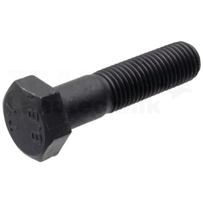 Sechskantschraube M12x50 DIN 960