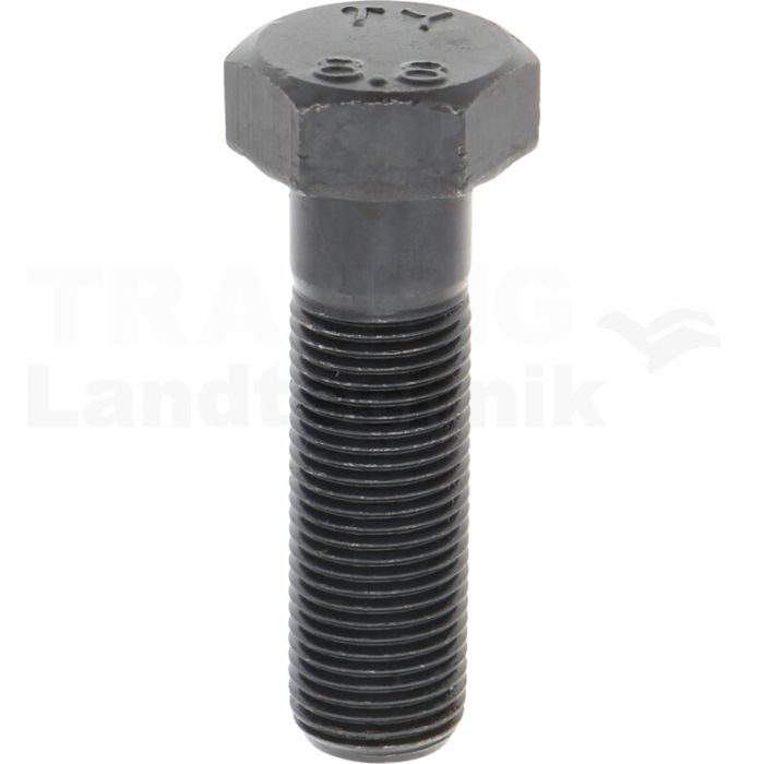 Sechskantschraube M16x55 DIN 960