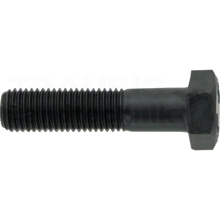 Sechskantschraube M12x50 DIN 960 Sechskantschraube M12x50 DIN 960