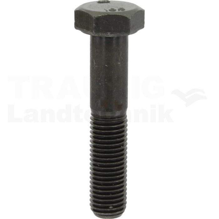 Sechskantschraube M12x60 DIN 960