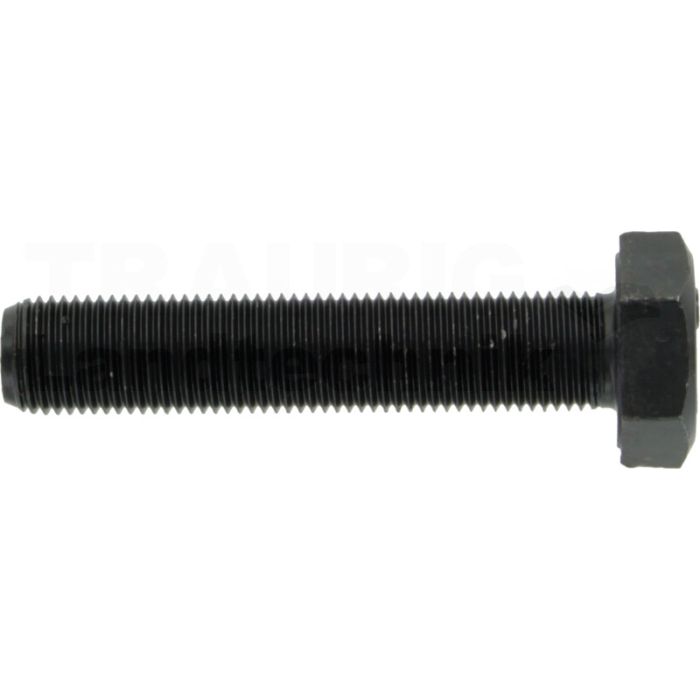 Sechskantschraube M10x50 DIN 961