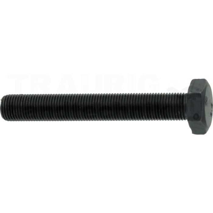 Sechskantschraube M10x70 DIN 961