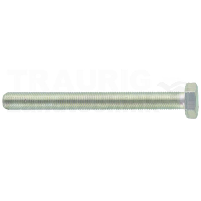 Sechskantschraube M10x100 DIN 961