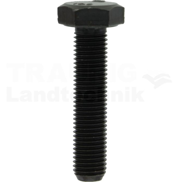 Sechskantschraube M10x45 DIN 961