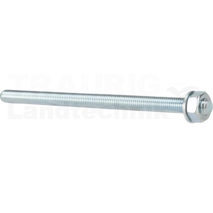 VPE10 Ankerstange FIS A M10x170 8.8 VZ