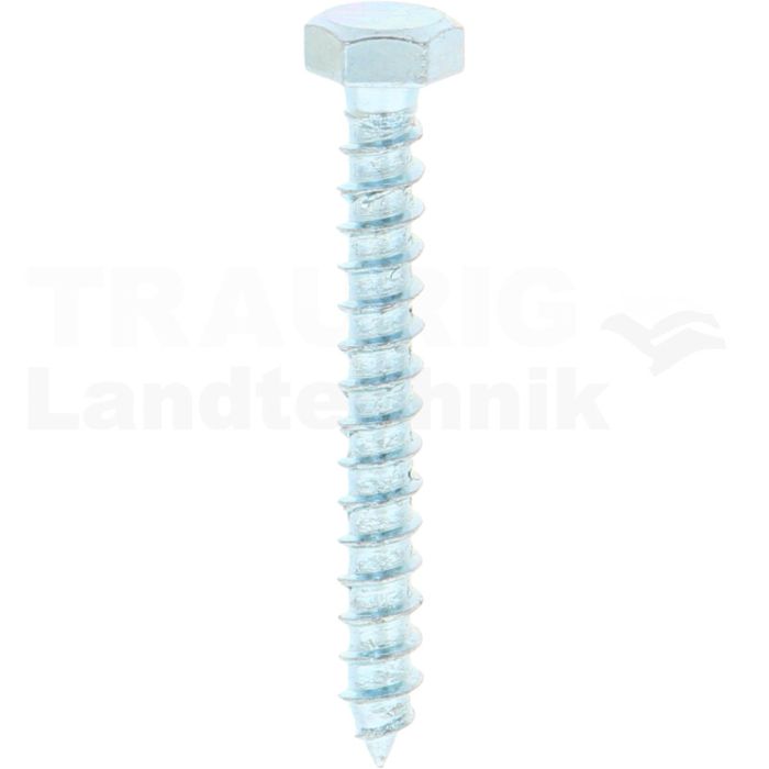 VPE100 Schlüsselschraube M5x40 DIN 571