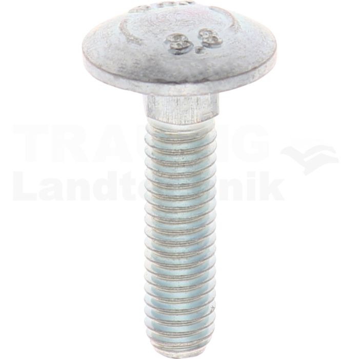 VPE100 Schlossschraube M6x25 DIN 603 VPE100 Schlossschraube M6x25 DIN 603