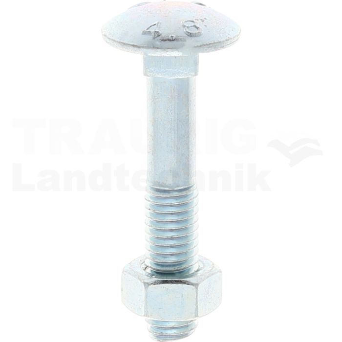 VPE50 Schlossschraube M8x45 DIN 603 VPE50 Schlossschraube M8x45 DIN 603