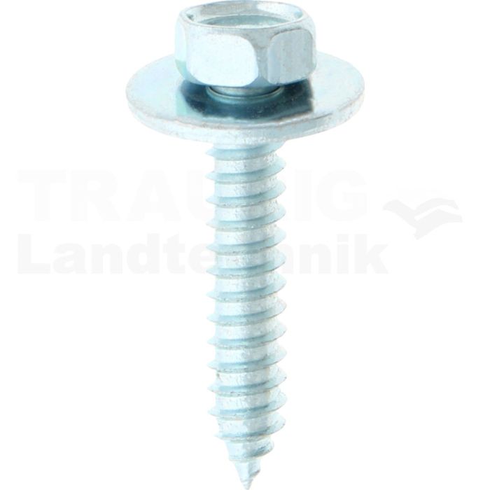 VPE50 Blechschraube M6x32 DIN 6901 VPE50 Blechschraube M6x32 DIN 6901