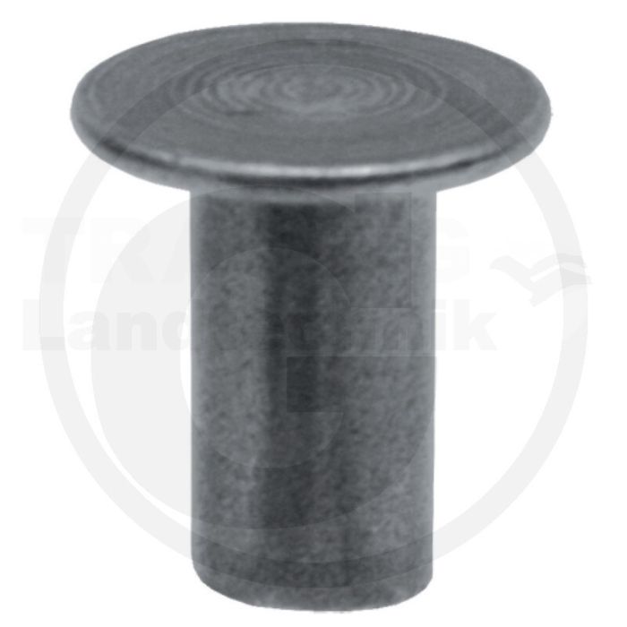 VPE100 Stahlniete 8x15 DIN 7338