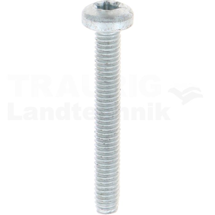 Gewindefurchende Schrauben M4x30 DIN7500