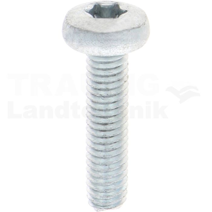 Gewindefurchende Schrauben M6x25 DIN7500