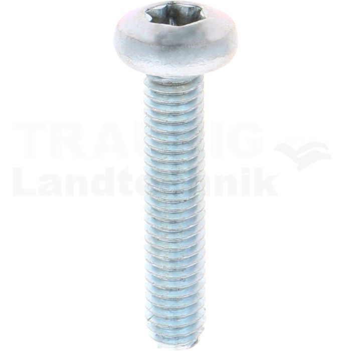 Gewindefurchende Schrauben M6x30 DIN7500