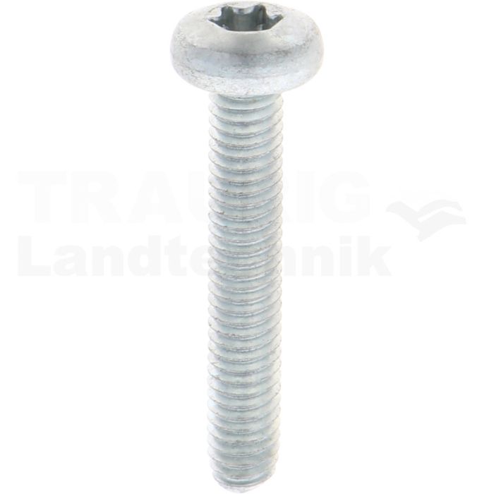 Gewindefurchende Schrauben M6x35 DIN7500