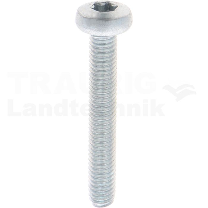Gewindefurchende Schrauben M6x40 DIN7500