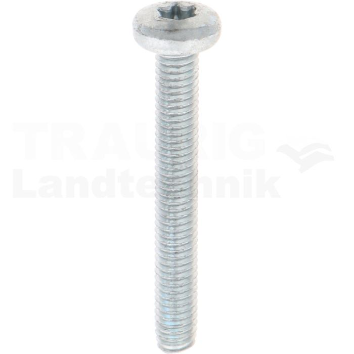 Gewindefurchende Schrauben M6x45 DIN7500
